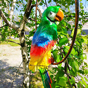  Попугай керамический 1005 ✅ базовая цена 319.68 грн. ✔ Опт ✔ Скидки ✔ Заходите! - Интернет-магазин ✅ Фортуна-опт ✅