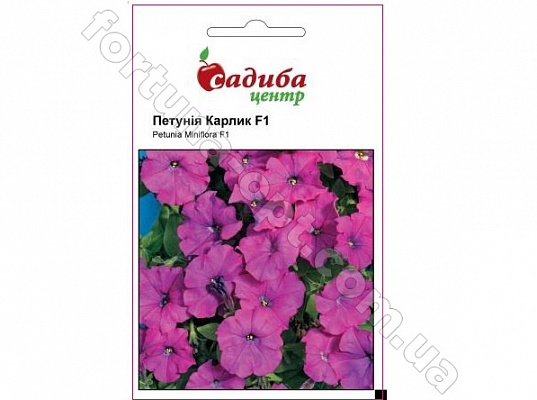 Петуния Карлик F1 фиолетовая (10 гран.) СЦ Cerny ✅ базовая цена 7.34 грн. ✔ Опт ✔ Скидки ✔ Заходите! - Интернет-магазин ✅ Фортуна-опт ✅