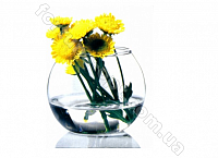 Ваза Pasabahce Flora Аквариум 99*79 мм - 43407 ✅ базовая цена 43.50 грн. ✔ Опт ✔ Скидки ✔ Заходите! - Интернет-магазин ✅ Фортуна-опт ✅