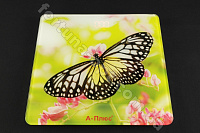 Весы напольные A-Plus - 1677 (180 кг) ✅ базовая цена $8.03 ✔ Опт ✔ Скидки ✔ Заходите! - Интернет-магазин ✅ Фортуна-опт ✅