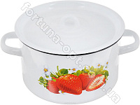 Кастрюля эмалированная 5,5 л 1617/2 Клубника ✅ базовая цена 228.63 грн. ✔ Опт ✔ Скидки ✔ Заходите! - Интернет-магазин ✅ Фортуна-опт ✅