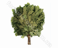 Веник для бани 1515 ✅ базовая цена 40.02 грн. ✔ Опт ✔ Скидки ✔ Заходите! - Интернет-магазин ✅ Фортуна-опт ✅