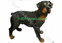 Ротвейлер стоящий 0175 (полимер) ✅ базовая цена 566 грн. ✔ Опт ✔ Скидки ✔ Заходите! - Интернет-магазин ✅ Фортуна-опт ✅