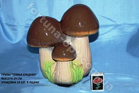 Гриб семья средний ✅ базовая цена 63 грн. ✔ Опт ✔ Скидки ✔ Заходите! - Интернет-магазин ✅ Фортуна-опт ✅