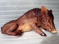 1Кабан 1926(К) ✅ базовая цена 182 грн. ✔ Опт ✔ Скидки ✔ Заходите! - Интернет-магазин ✅ Фортуна-опт ✅