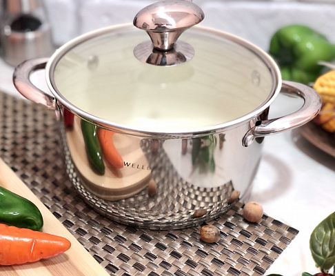 Кастрюля Wellberg WB - 1047 ✅ базовая цена $12.17 ✔ Опт ✔ Скидки ✔ Заходите! - Интернет-магазин ✅ Фортуна-опт ✅