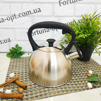 Чайник нержавеющий 2,1 л A-Plus - 041560 ✅ базовая цена $8.71 ✔ Опт ✔ Скидки ✔ Заходите! - Интернет-магазин ✅ Фортуна-опт ✅