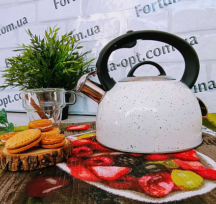 Чайник н/ж цвет 2,5л Edenberg 1440 ✅ базовая цена $12.02 ✔ Опт ✔ Скидки ✔ Заходите! - Интернет-магазин ✅ Фортуна-опт ✅