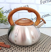 Чайник из нержавеющей стали Econom 3 л A-Plus - 1337