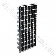 Кассета для рассады 55 ячеек ✅ базовая цена 24.16 грн. ✔ Опт ✔ Скидки ✔ Заходите! - Интернет-магазин ✅ Фортуна-опт ✅